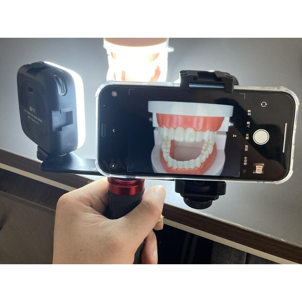 طقم إضاءة محمول للتصوير الفموي - مراجعة Photography Lighting Kits وسعره